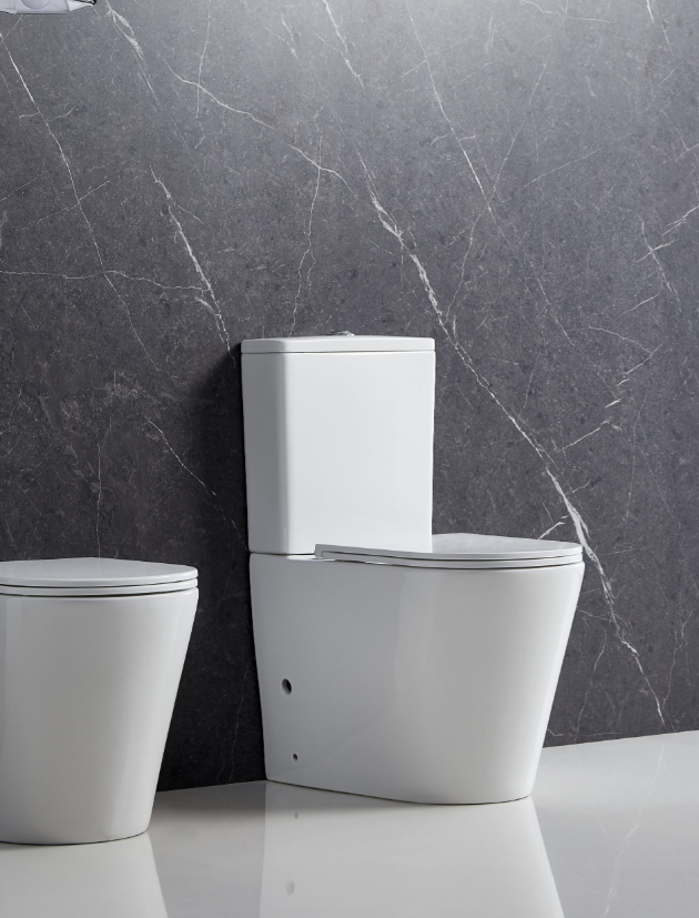 Pani- Back to Wall Toilet